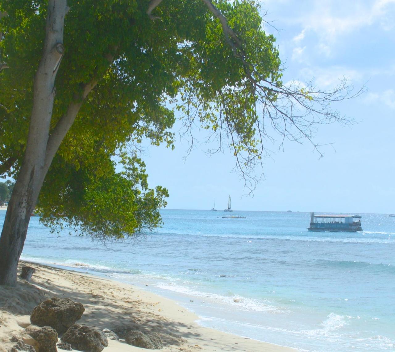 Coral Lane Beach Apartments เซนต์เจมส์ ภายนอก รูปภาพ